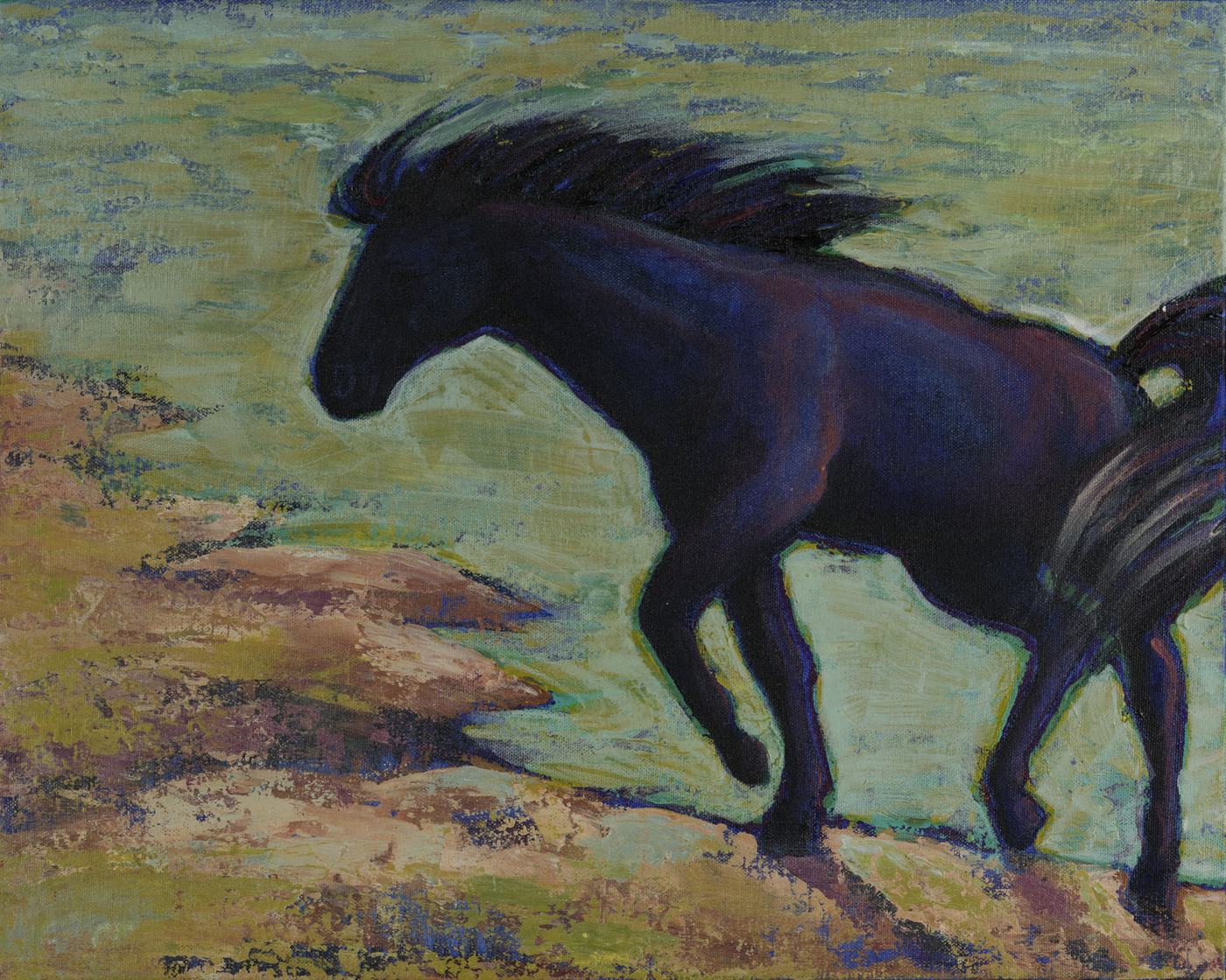 Black Horse at the Beach — Kitty Mitchell