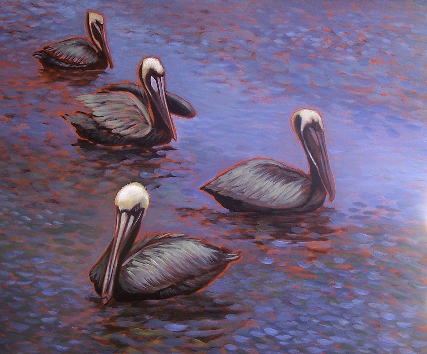 Pelicans — Kitty Mitchell