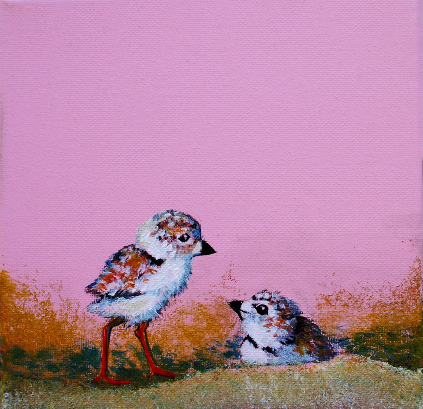 Piping Plover Chicks — Kitty Mitchell