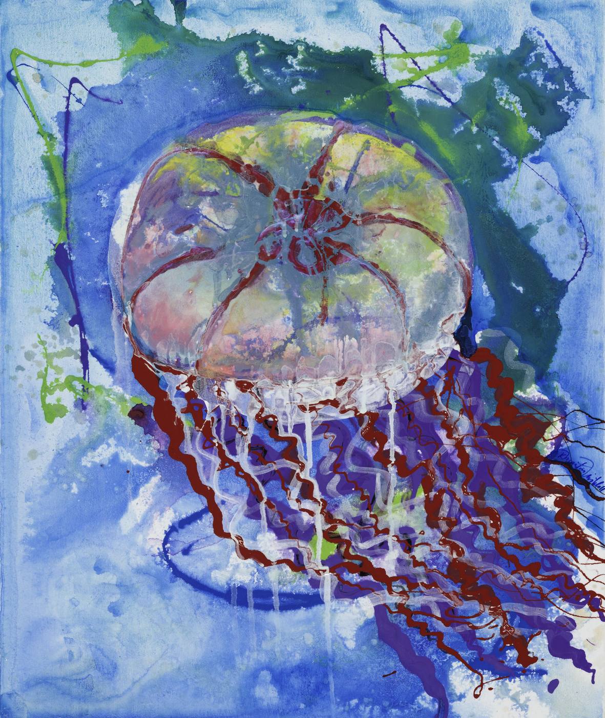 Scyphozoan Symphony — Kitty Mitchell