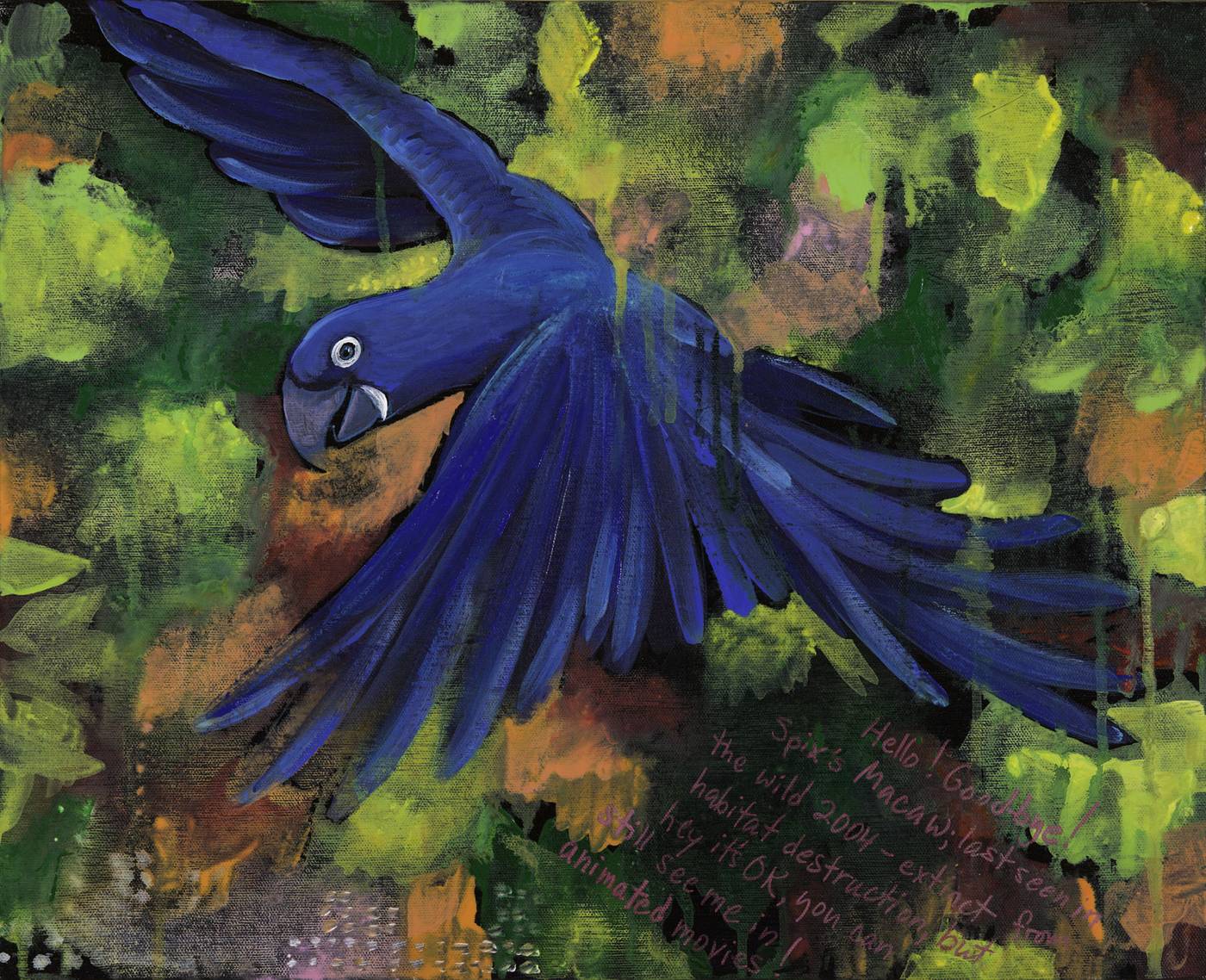 Spix's Macaw — Kitty Mitchell