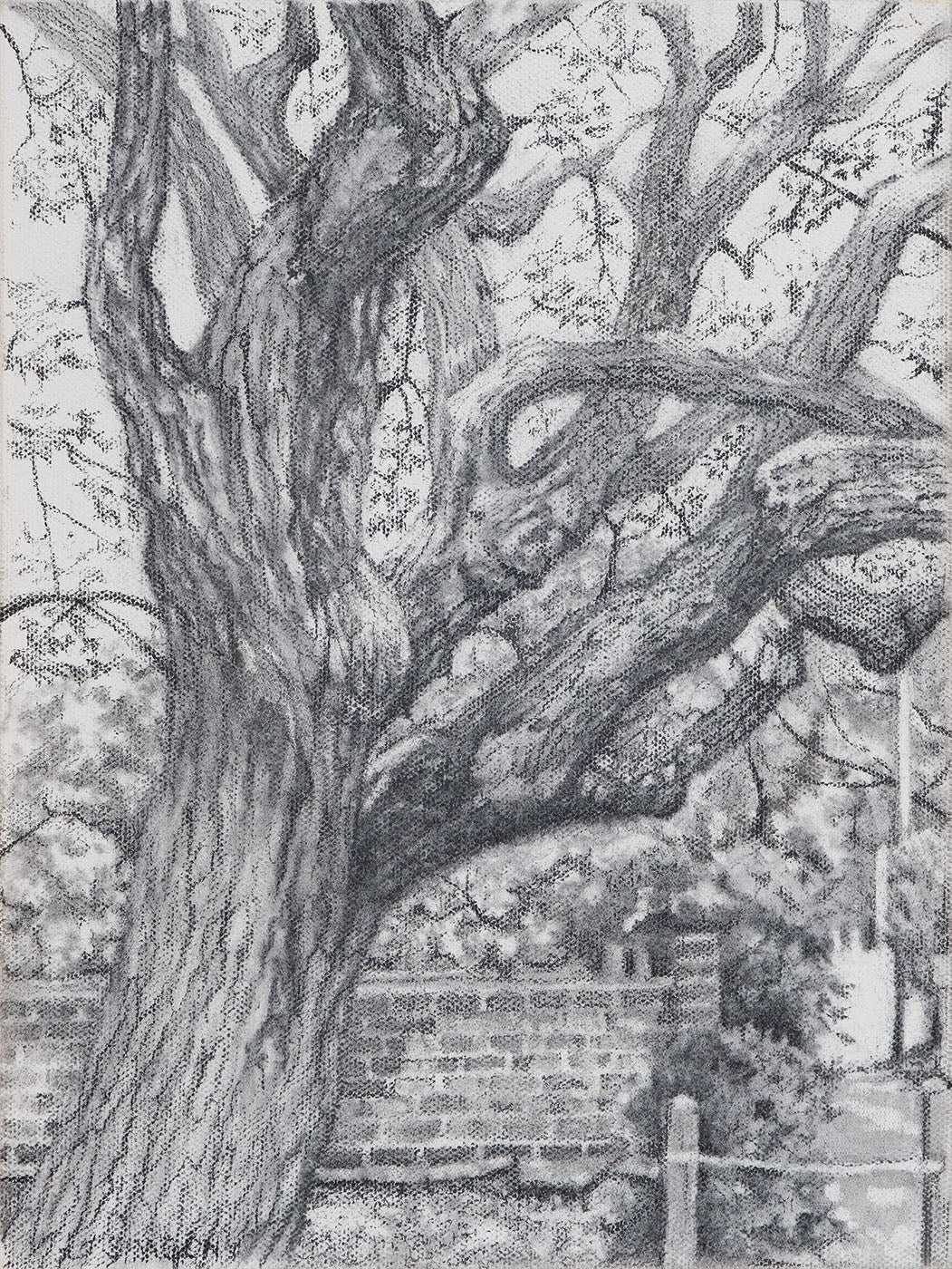 British Cemetery — Timothy Simpson