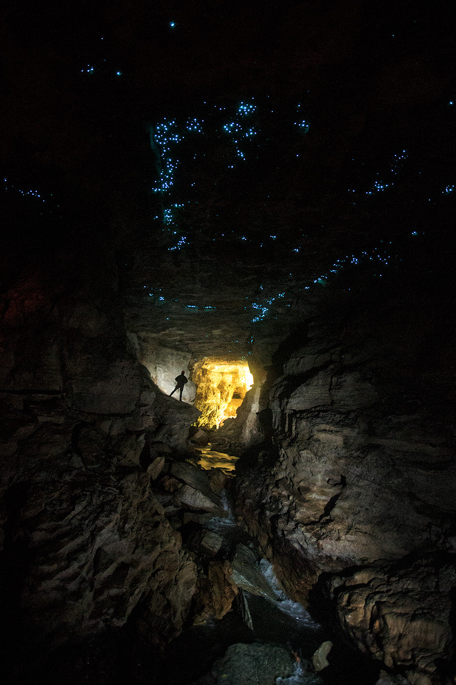 Into the Light, Waitomo — Daniel Sockwell