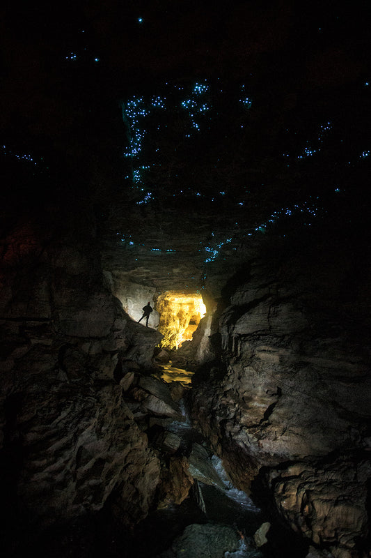 Into the Light, Waitomo — Daniel Sockwell