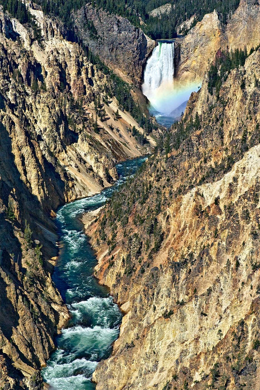 Lower Falls, Yellowstone — Daniel Sockwell