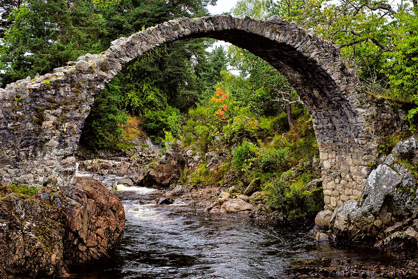Old Packhorse Bridge, Carrbridge — Daniel Sockwell