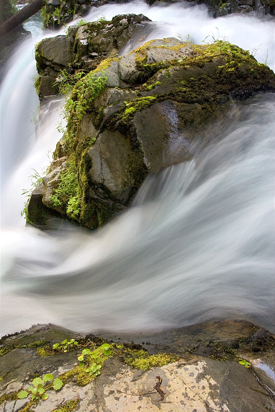 Sol Duc Falls, Olympic — Daniel Sockwell