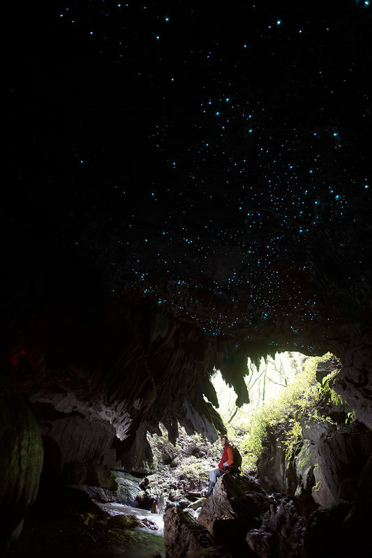 Starfield, Waitomo — Daniel Sockwell