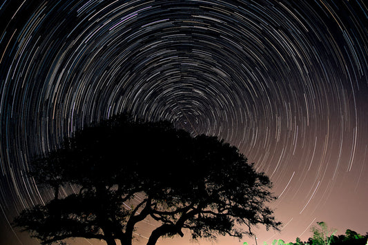 Turning Sky — Daniel Sockwell