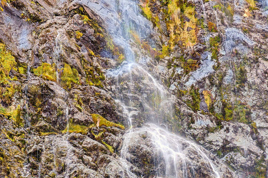 Weeping Wall, Milford Sound — Daniel Sockwell