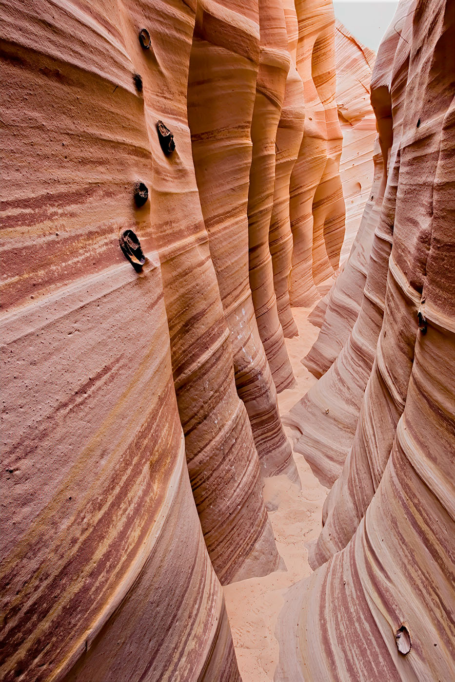 Zebra Canyon — Daniel Sockwell