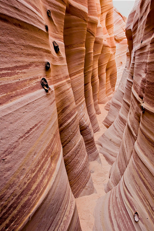 Zebra Canyon — Daniel Sockwell