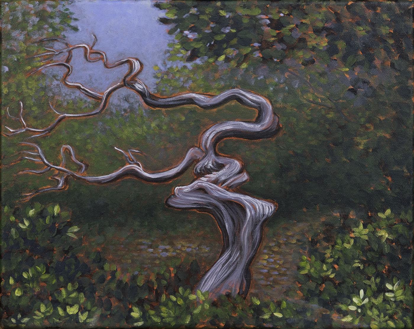 Old Tree — Kitty Mitchell