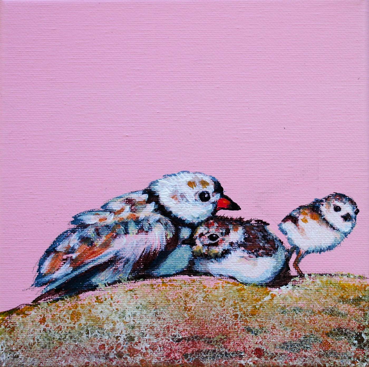 Piping Plovers — Kitty Mitchell