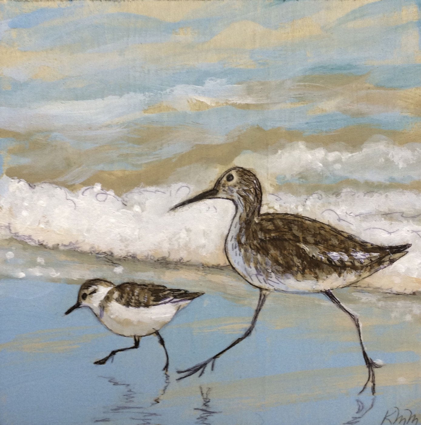 Sanderling and Willett — Kitty Mitchell