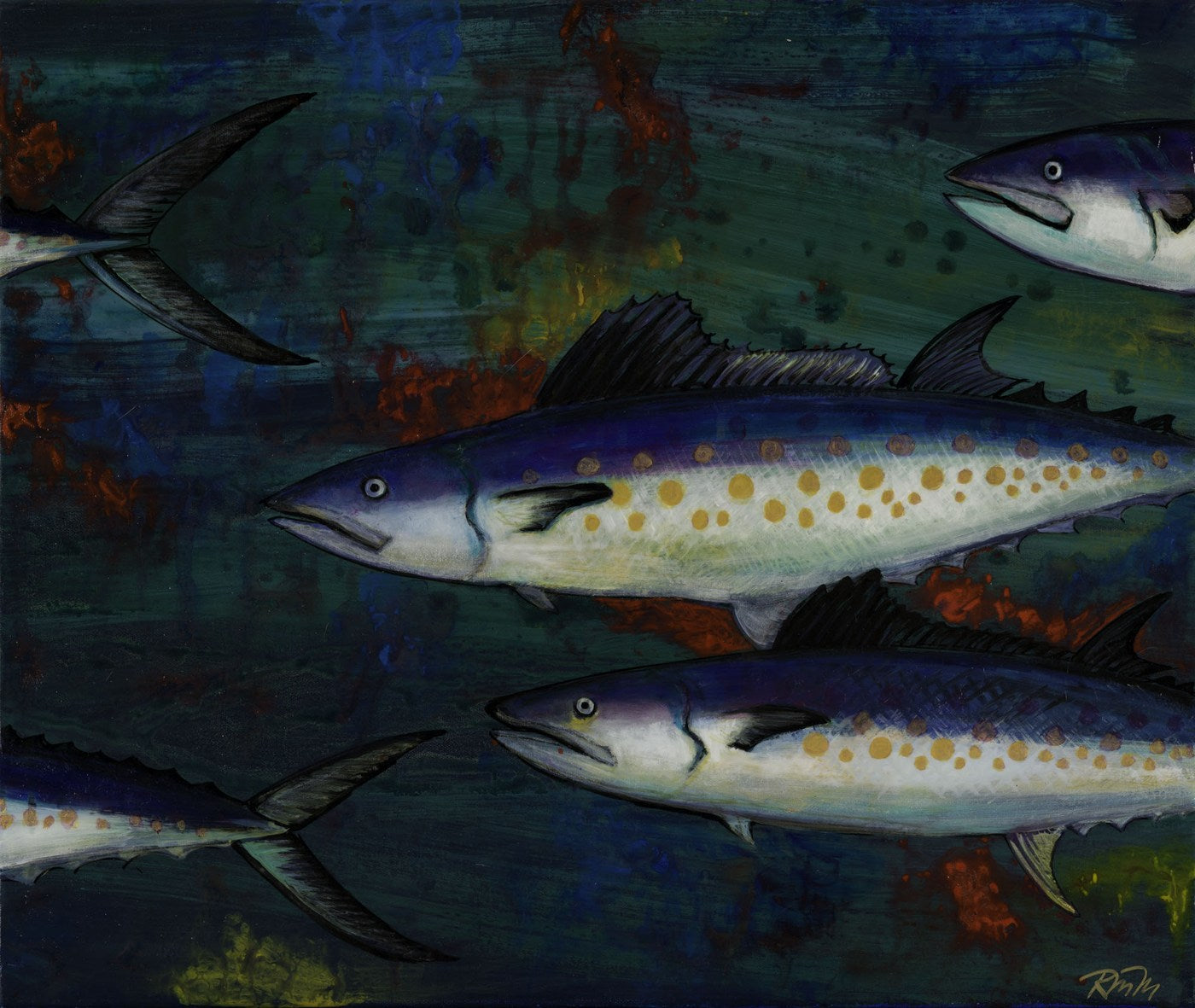 Spanish Mackerel — Kitty Mitchell