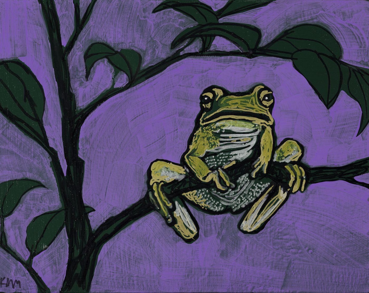 Tree Frog Solo — Kitty Mitchell