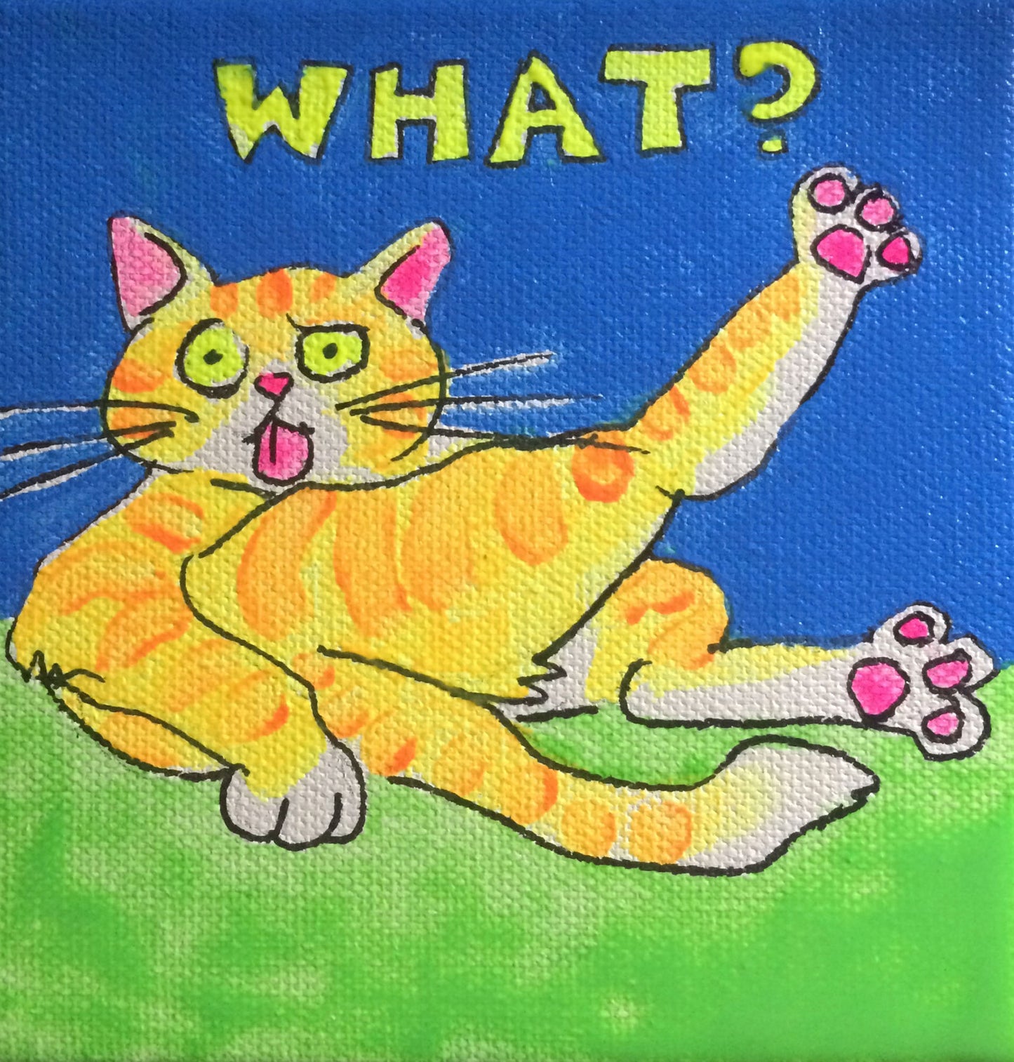 What? — Kitty Mitchell